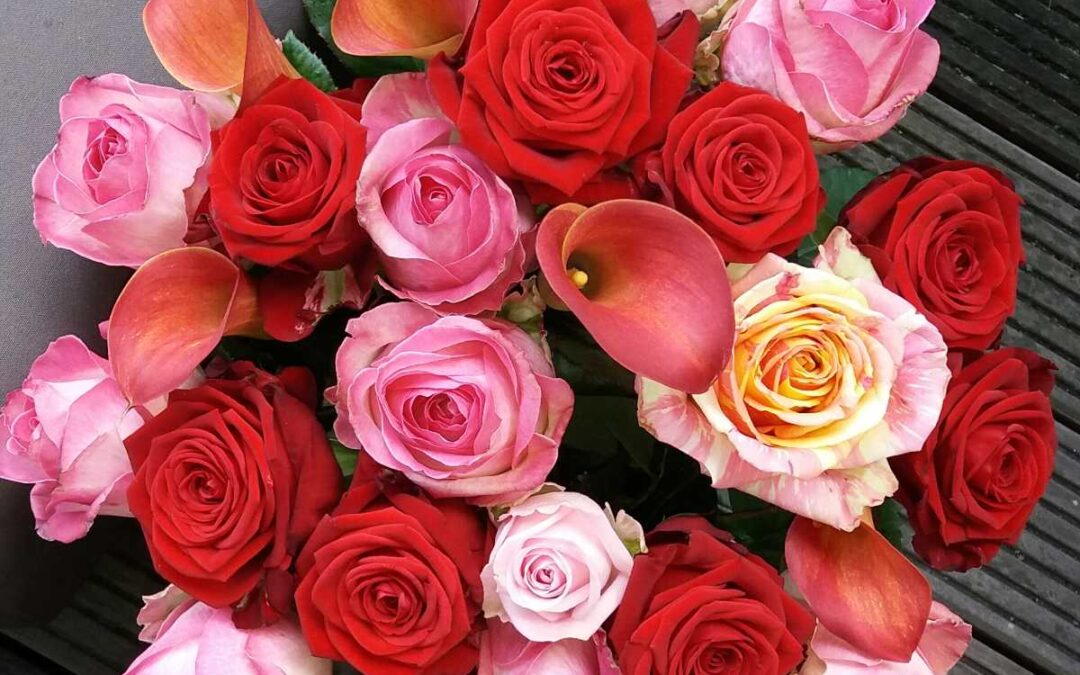 Bloem en Plezier