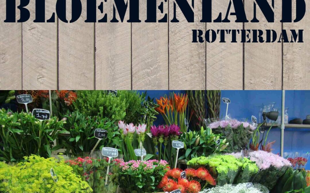 Bloemenland Rotterdam