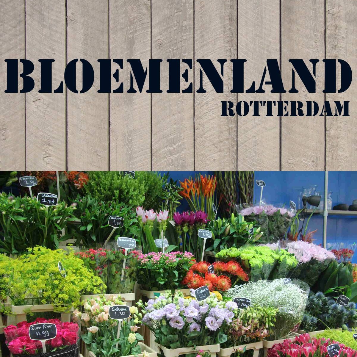 Bloemenland Rotterdam